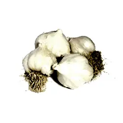 Paket Sarımsak