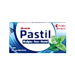 Ülker Pastil Okaliptüs Nane (22,4 g)
