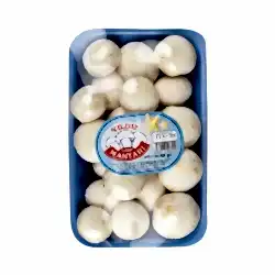 Yıldız Kültür Mantarı (400 g)